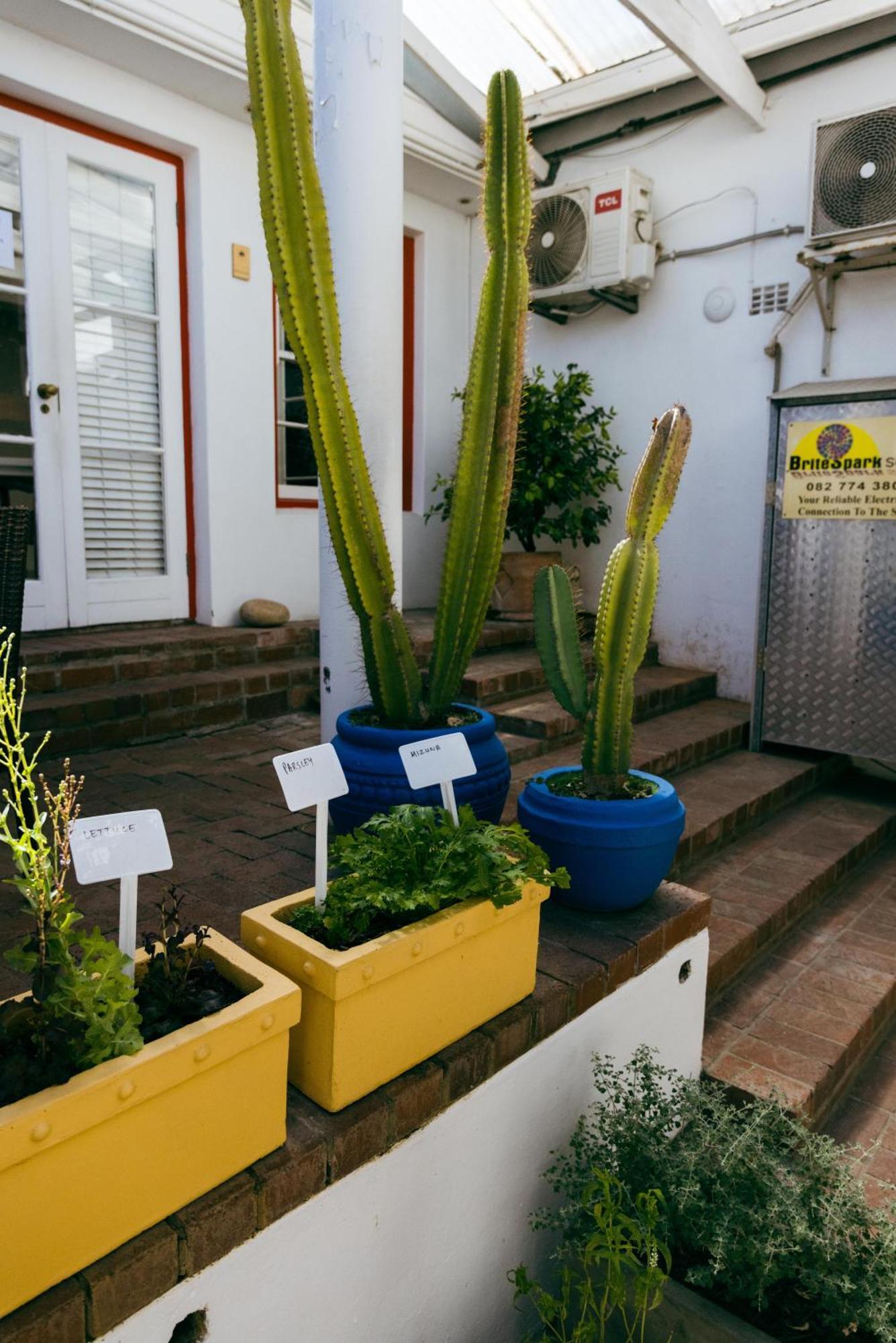 Viva Hostel